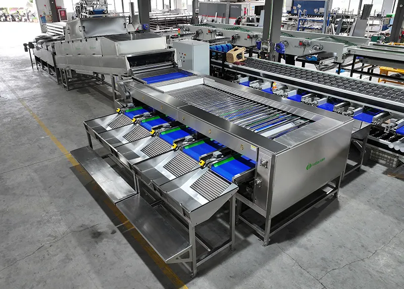 Sweet potato processing machine-a popular agricultural tool both at home and abroad