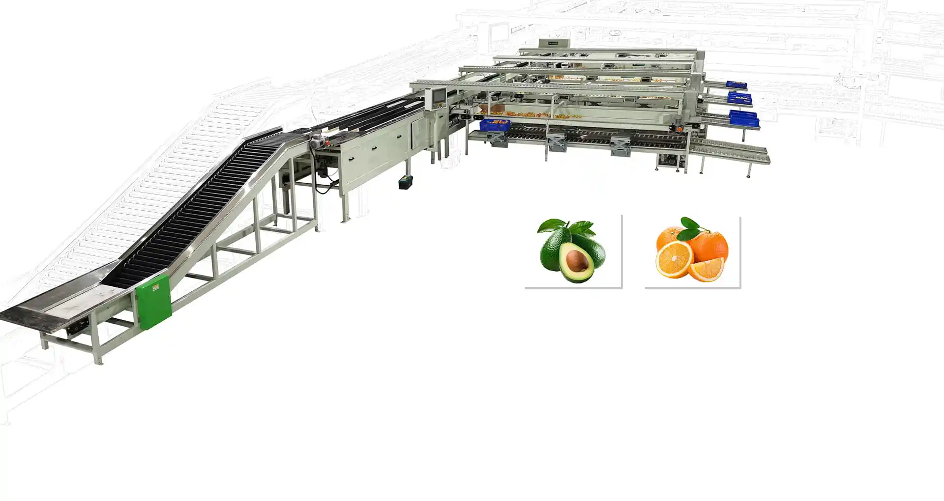 Automatic Weight Sorting Machine - fruit processing machine