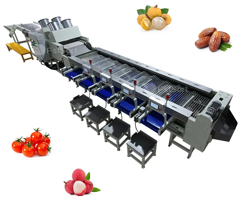 Cherry Tomatoes Sorting Machine