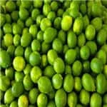 Lime graderhigh quality matching large output