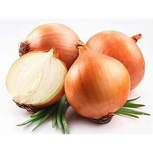 Large capacity onion sorting machine