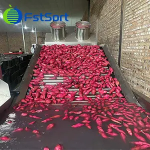 Sweet potatoes washing drying and grading machine