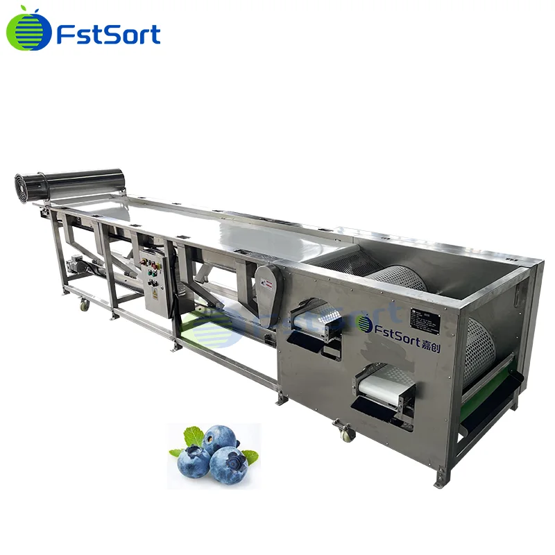 Blueberries Business in Georgia