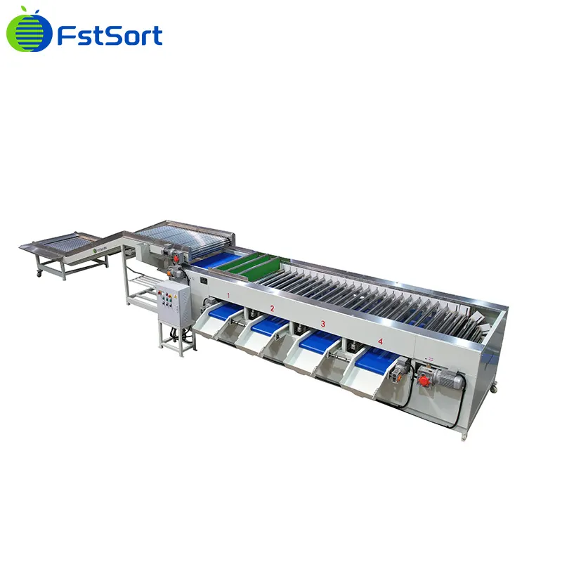 Mangosteen sorting machine