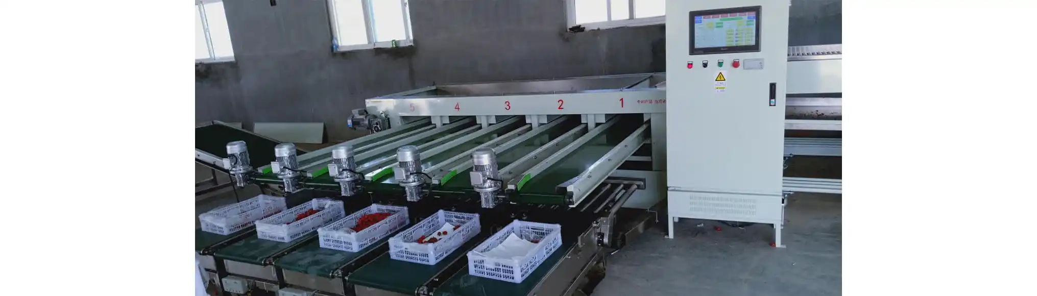 Fruit sorting weighing packing line - FstSort