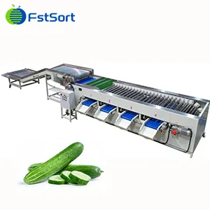 Cucumbers Sorting Machine Is Ready For Qatar