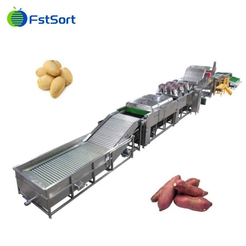 Why Customers Choose Our Sweet Potatoes Grading Machine