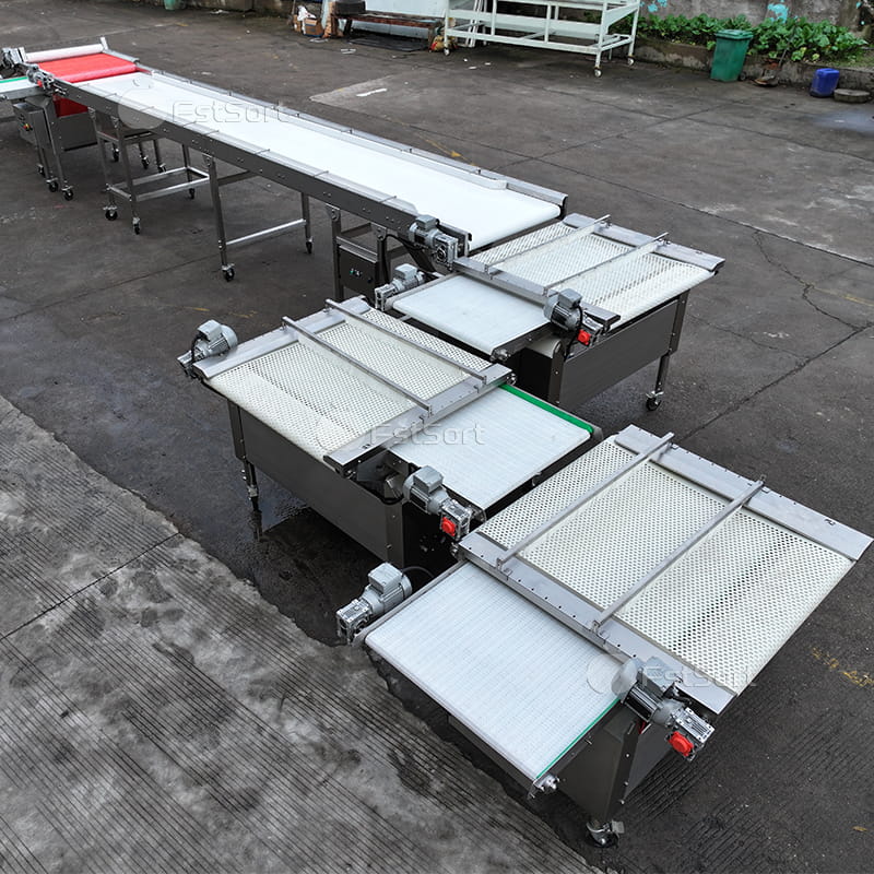 blueberry grading machine,FstSort,FstSort graders,blueberry packing machine,blueberry size grader,blueberry sorting machines