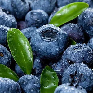 what sort of grader is best for blueberries