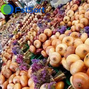 The booming Swiss onion industry