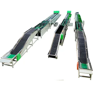 Automatic Apple Weighting Sorter