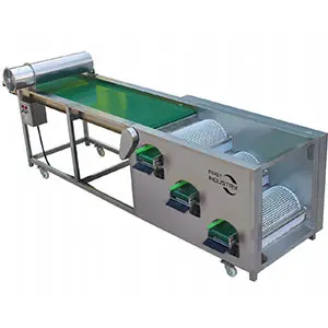 Some questions and answers about blueberry grader