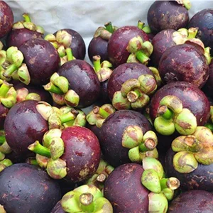Mangosteen prices remain high