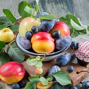 Fruta de Hueso de Chile