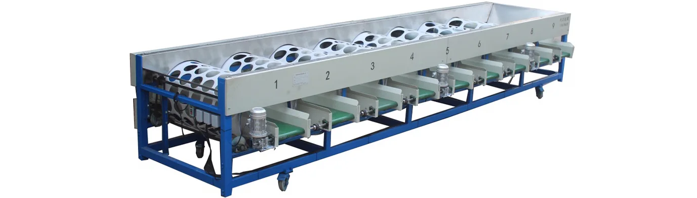 Grapefruit Grading Machine - FstSort