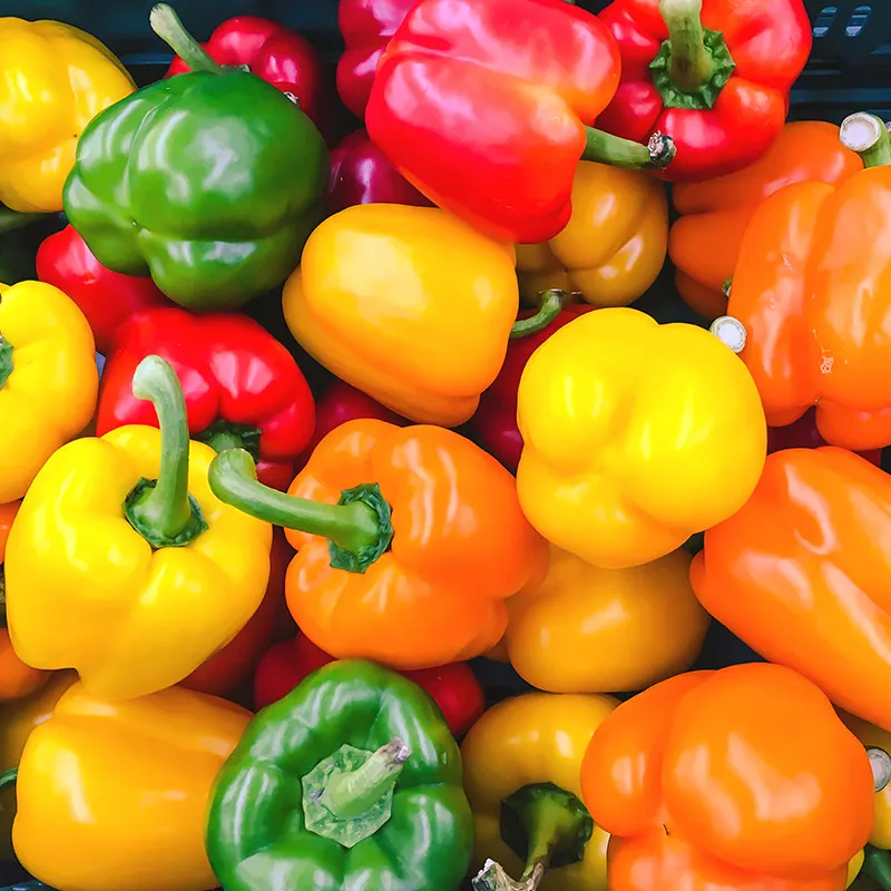 How to choose the most suitable bell pepper sorting machine