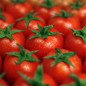 Tomato Sorting Machine Manufacturer