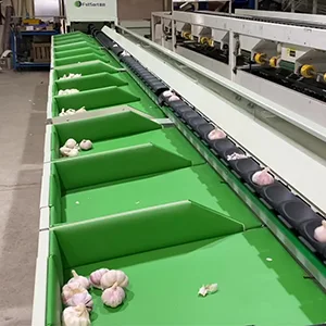 Una nueva máquina para ajo