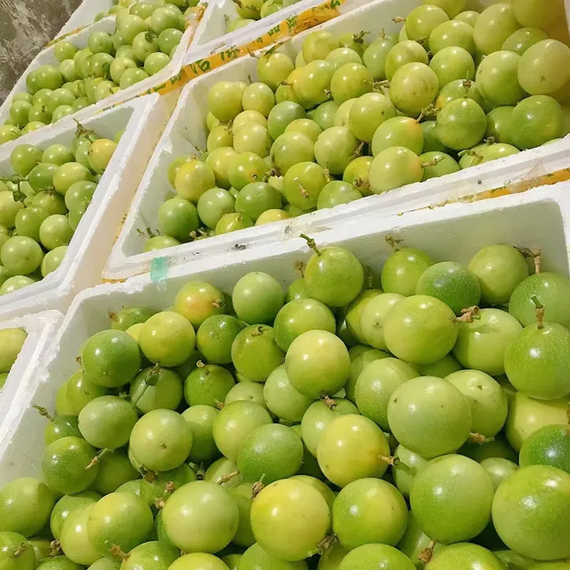 Passion Fruit Sorting Machine From China Manufacturer