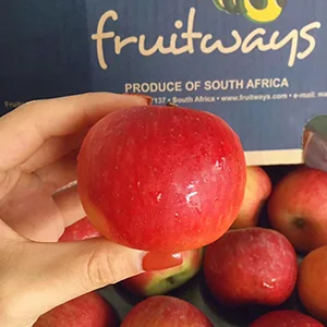 South African Apple will arrive in China early next month