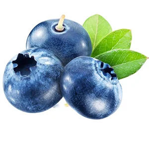 Chilean blueberry exports reach a peak