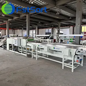 Vegetables washing machine