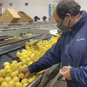 Argentine lemons exported to China for the first time