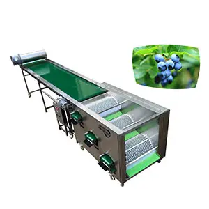 Why choose our blueberry grading machine