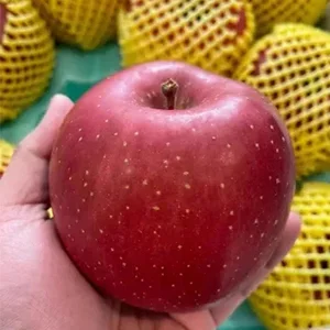 "Sun Fuji apple" from Japan enters China for the first time
