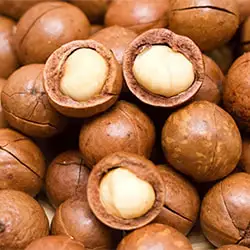 Macadamia Nuts Grading and Cutting Machine Introduction