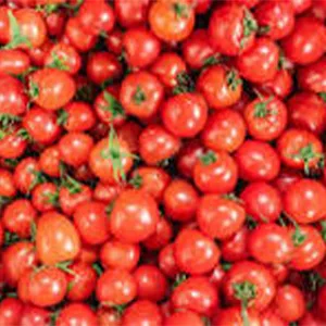 Clasificadora óptica de tomates cherry