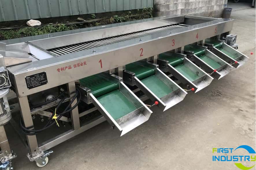 images/1558336187514Longan grading machine.jpg