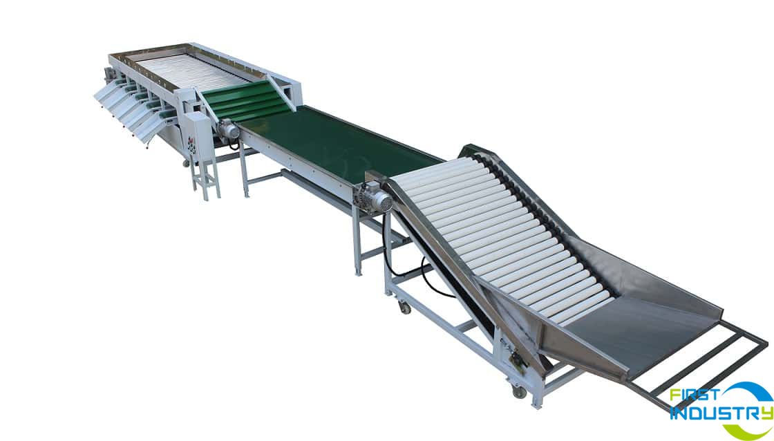 Mangosteen grader machine