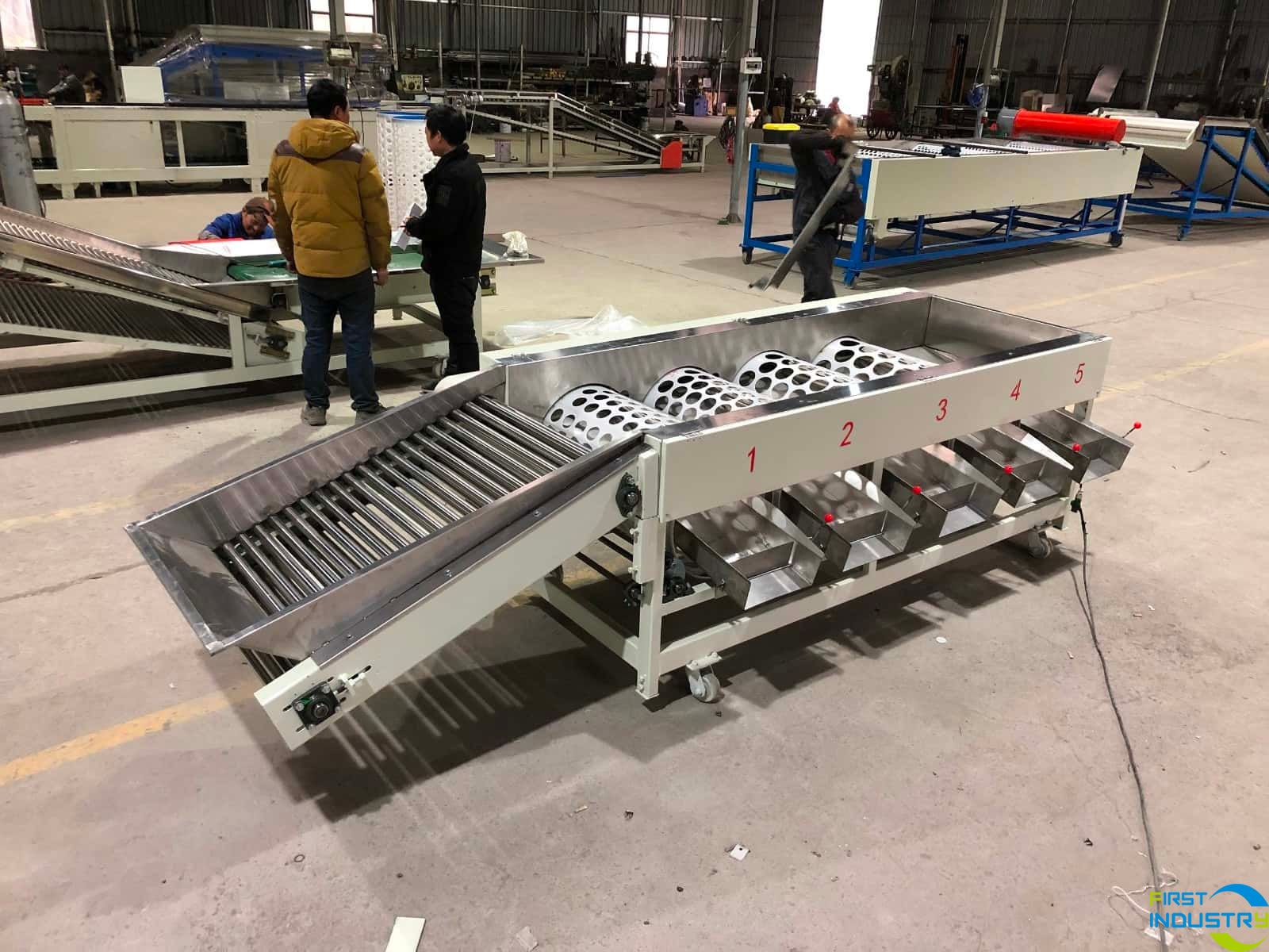 Mandarin grading machine sold to America