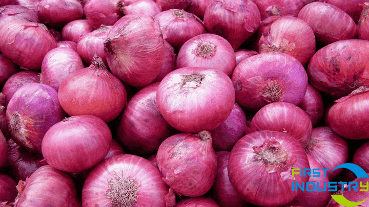 images/1558425345987Onion-grading-machine-1.png