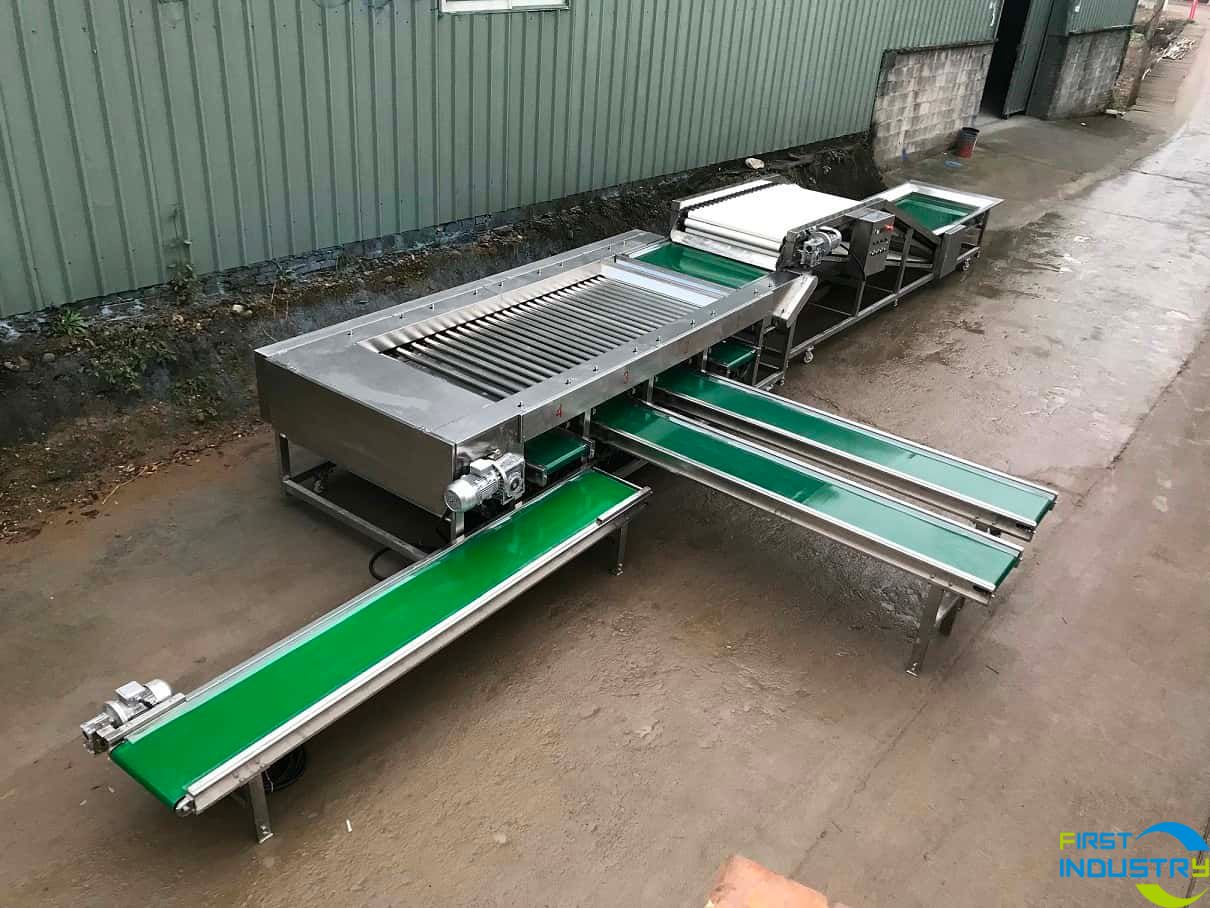 sweet potato grading machine