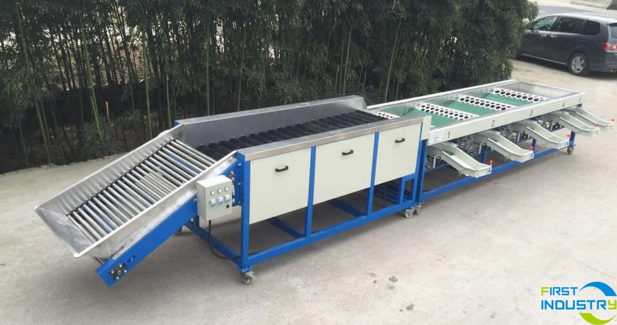 Garlic cleaning and grading machine Garlic cleaning and grading machine