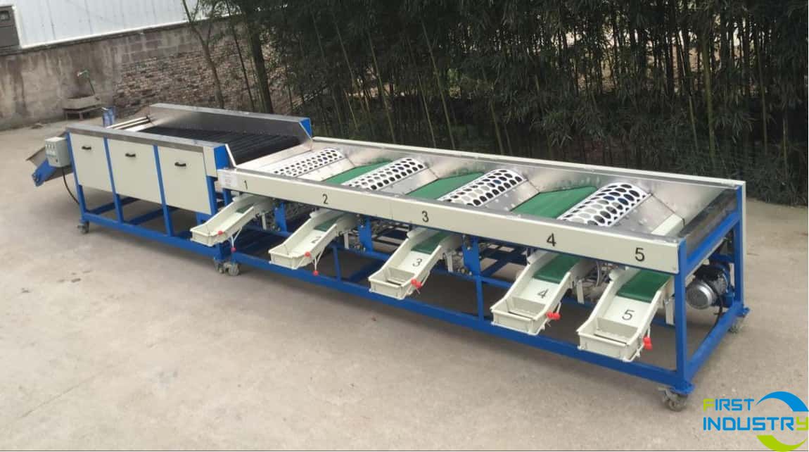 Garlic cleaning and grading machine Garlic cleaning and grading machine