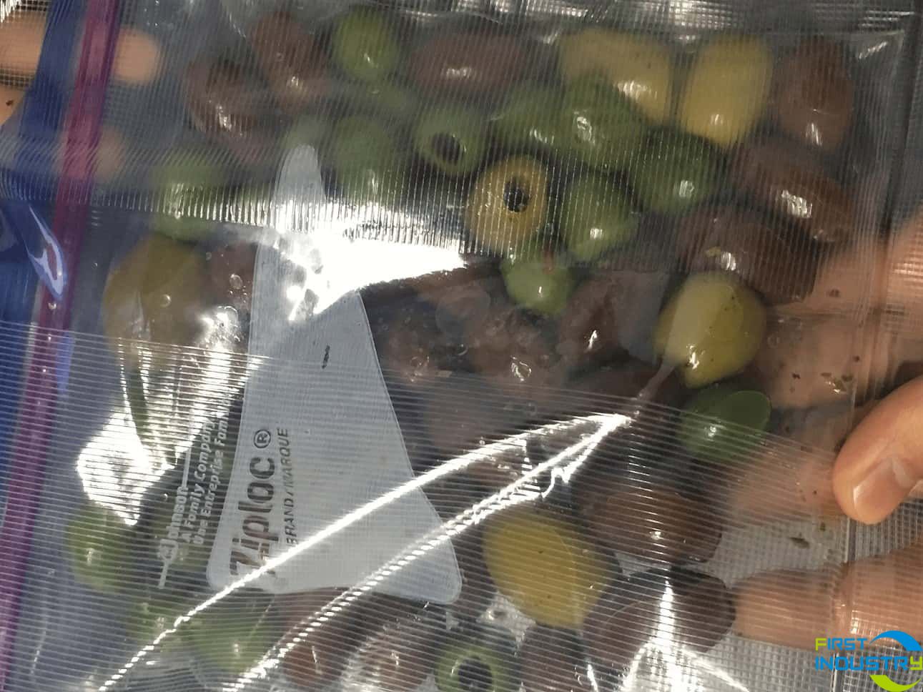 dates pitting machine