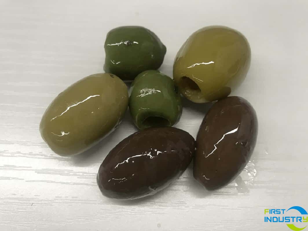 dates pitting machine