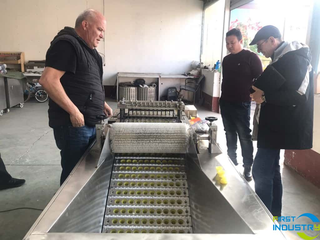 dates pitting machine