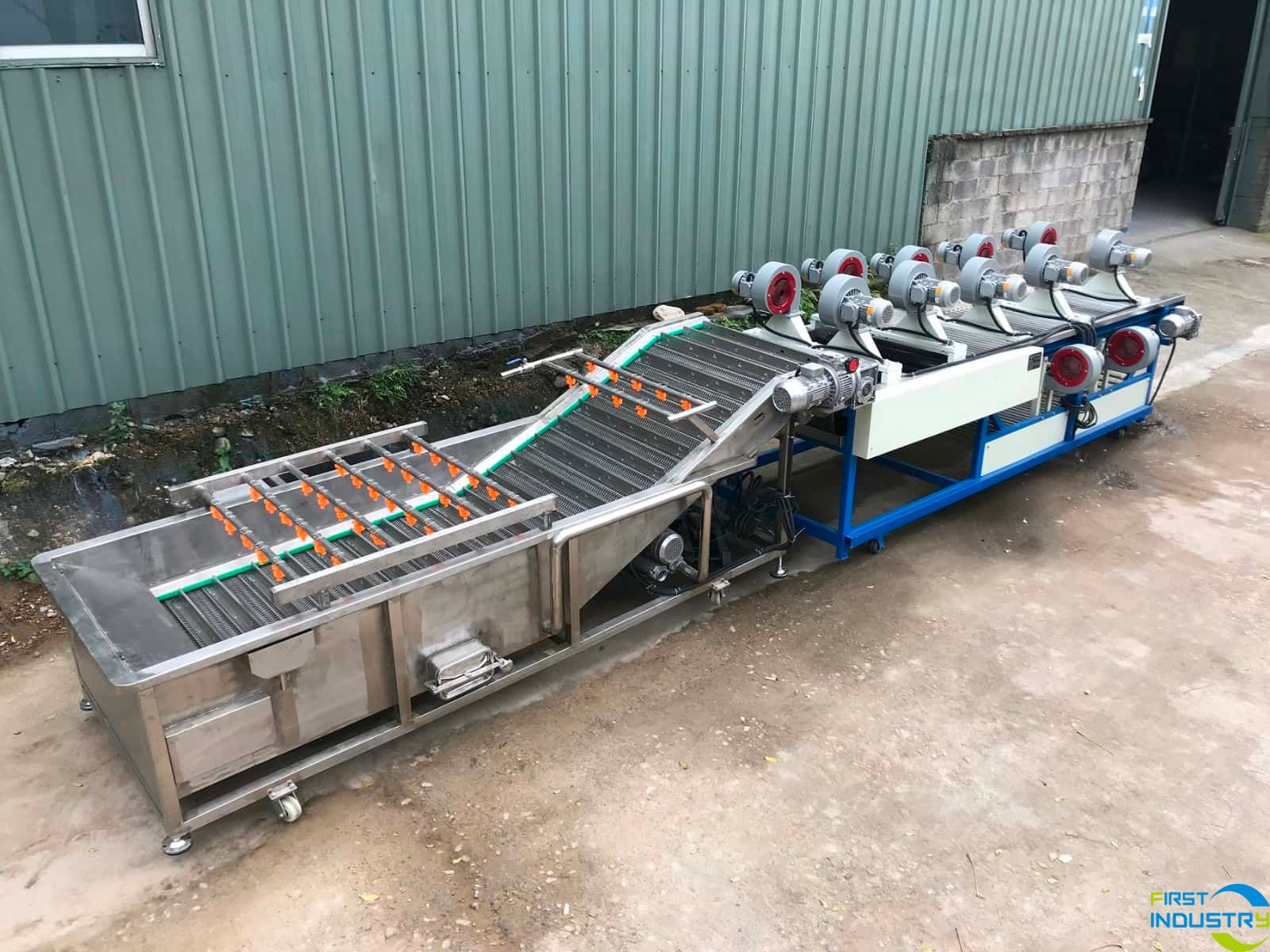 Mangosteen cleaning and drying machine