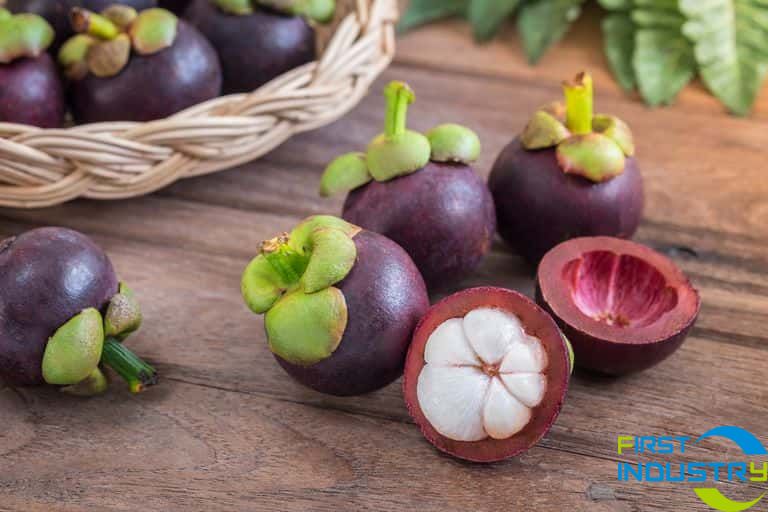 Mangosteen cleaning and drying machine