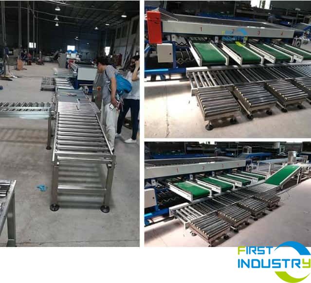 mangosteen sorting machine