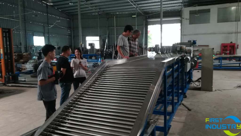 mangosteen sorting machine