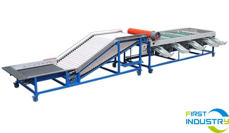 Onion/Garlic Grading Machine