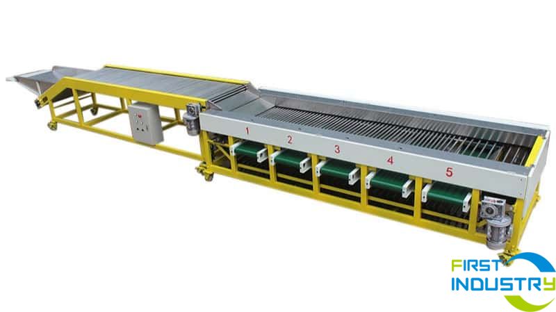 longan grading machine