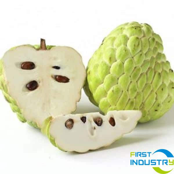 custard apple washing machine