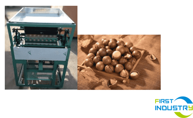 Macadamia Nuts Grading