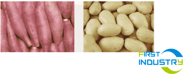 fruit bubble washing machine